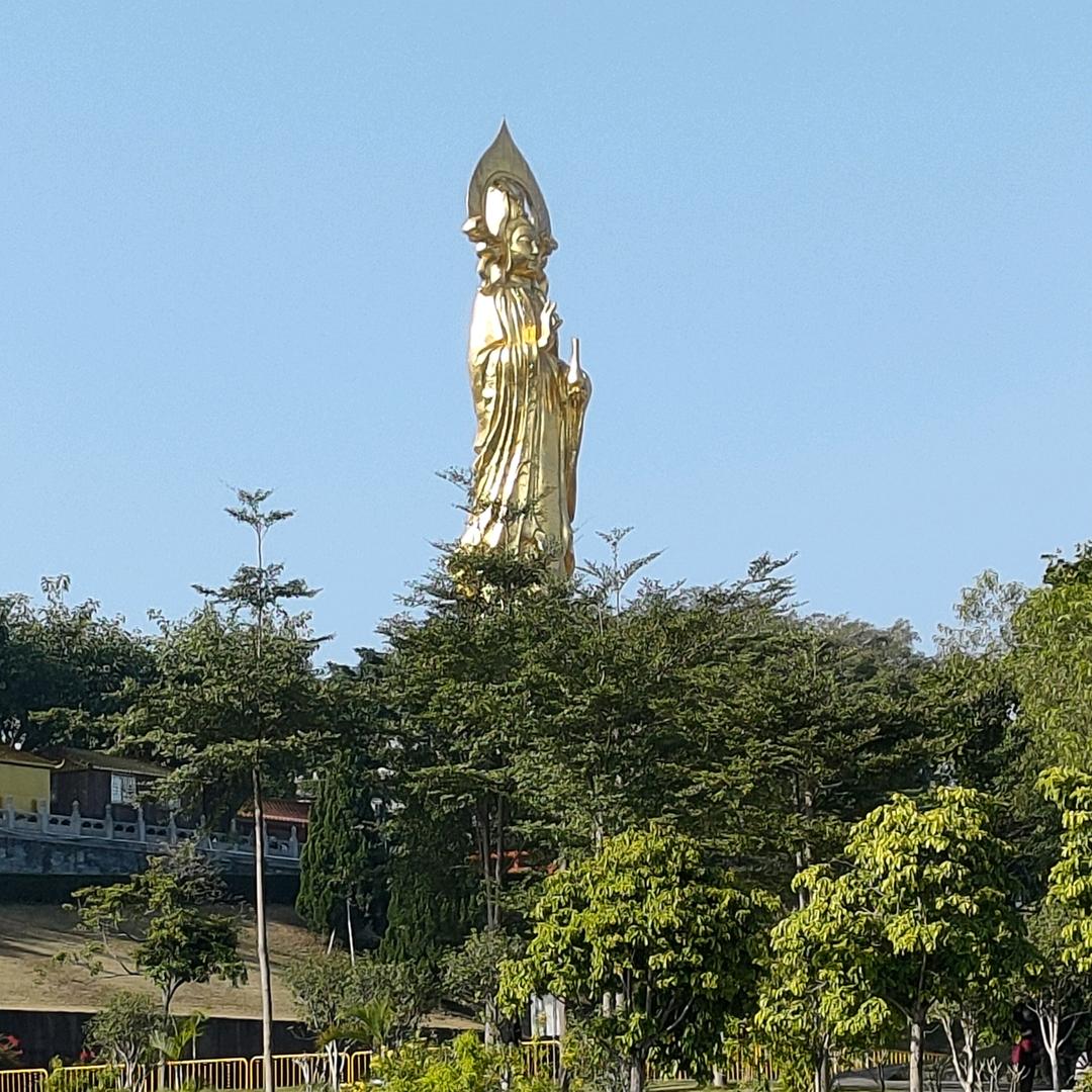 蹭蹭