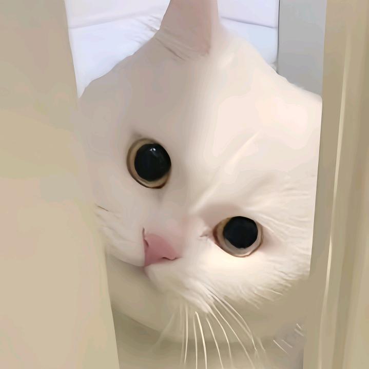 阿言uup