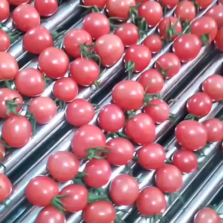 小龙哥