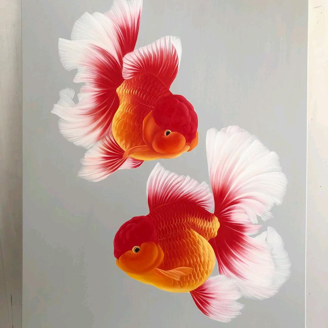 弘晟金鱼