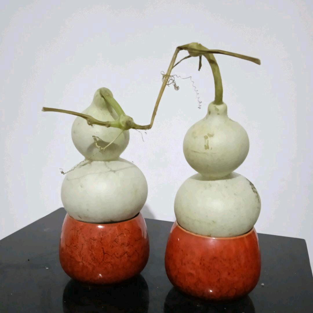 真爱一生