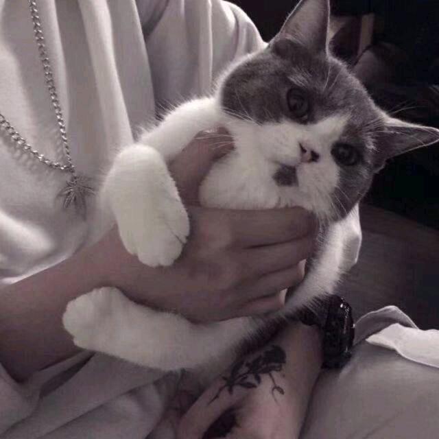 就这？