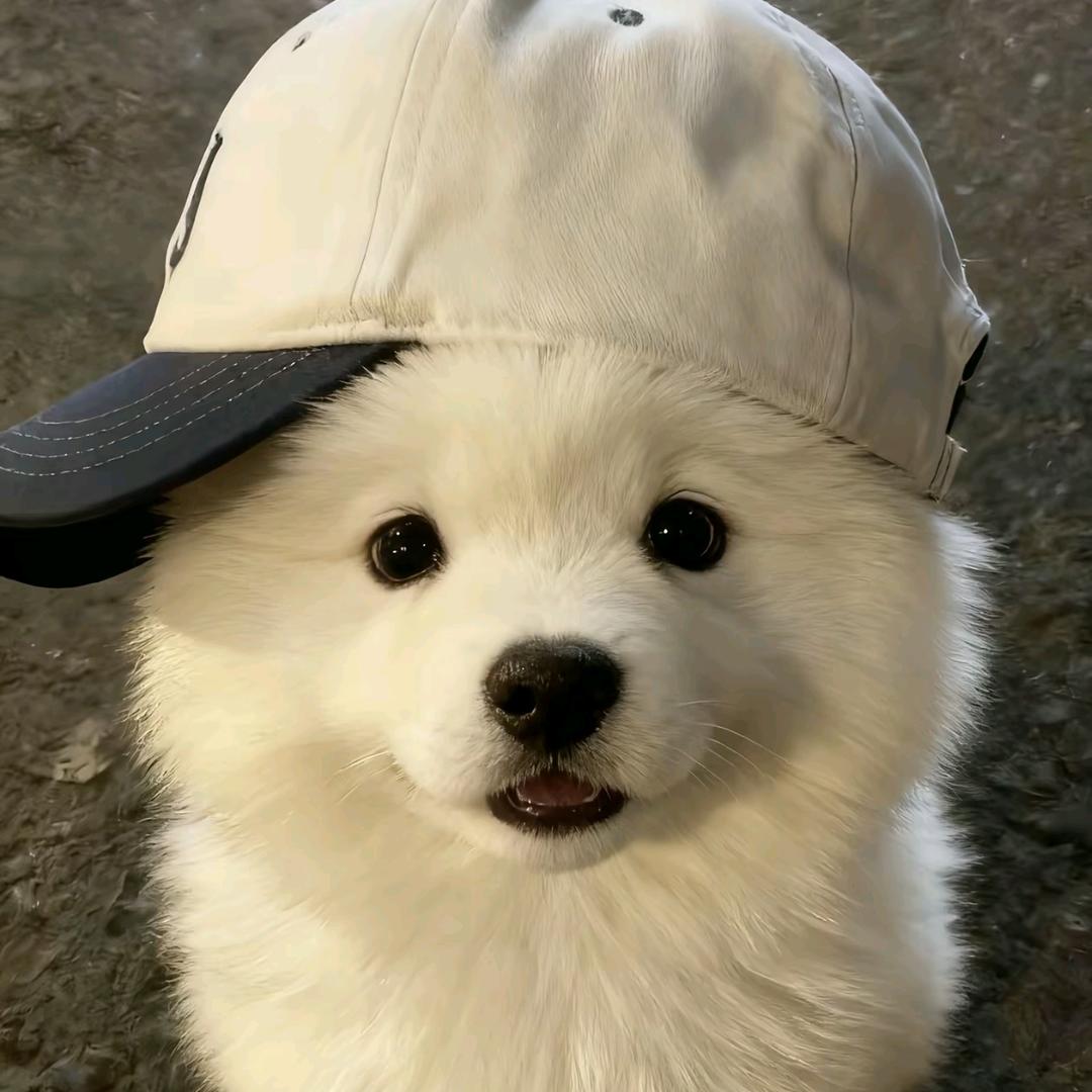 ૮ ˃̵ ֊ ˂̵  ა修勾🧩