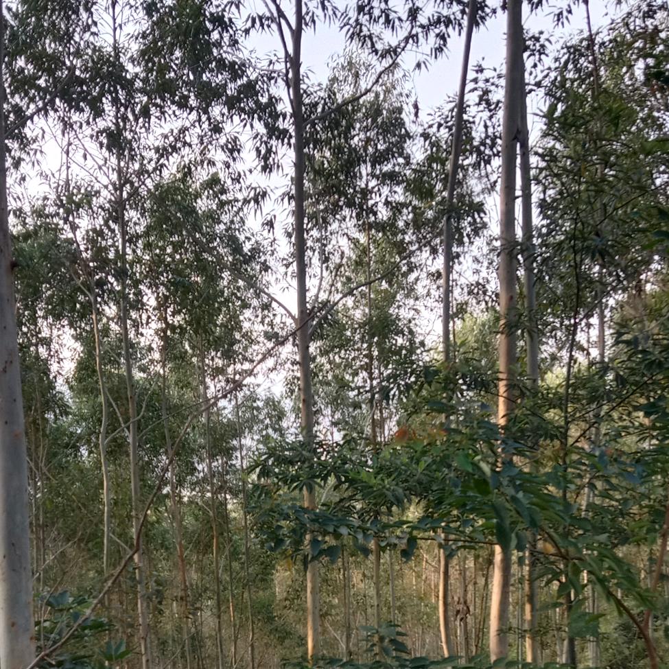 用户4312721193978