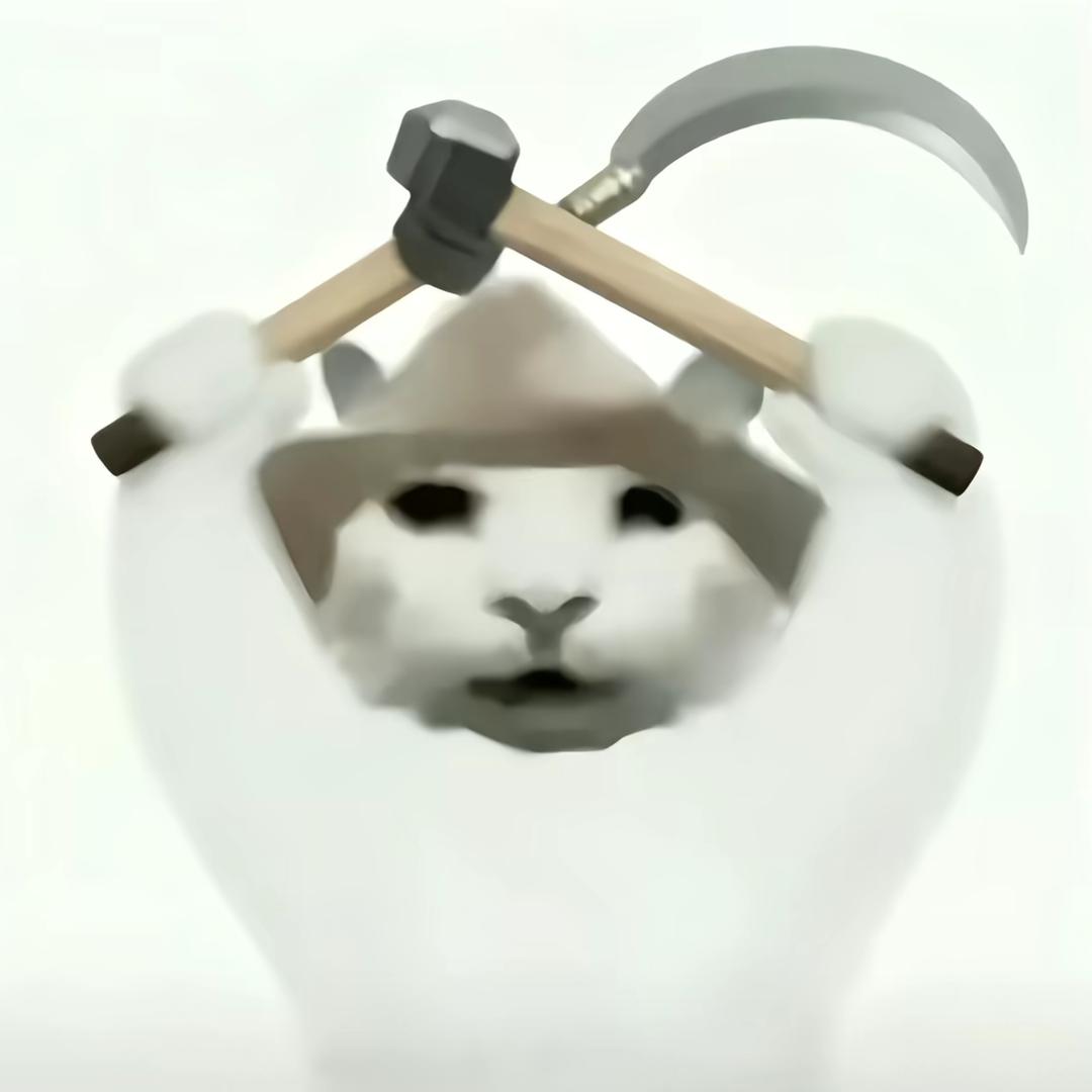 我的小意超可爱漂亮