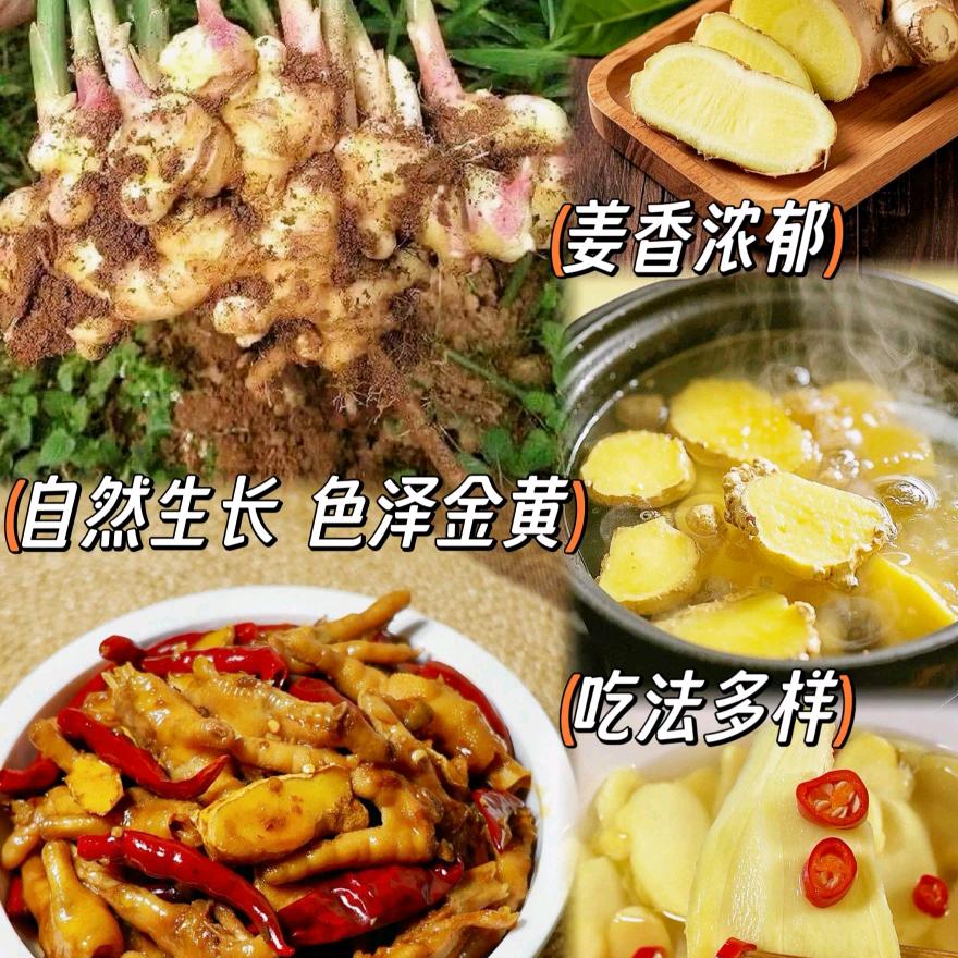 禾苗山农