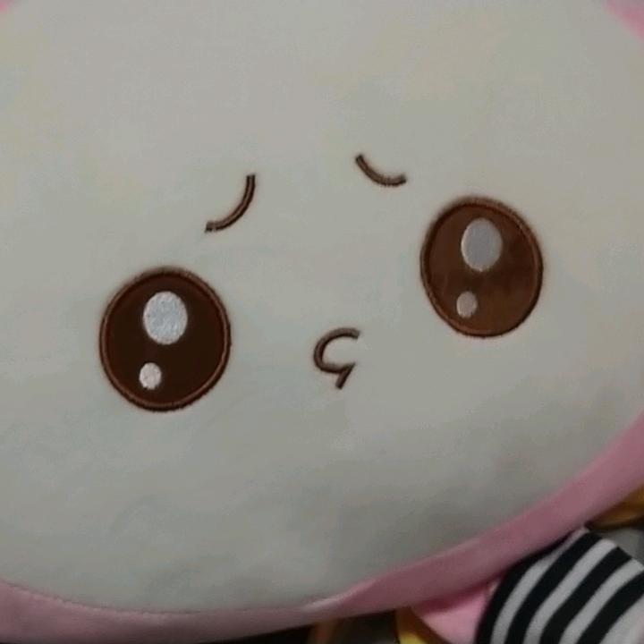 梦随心动