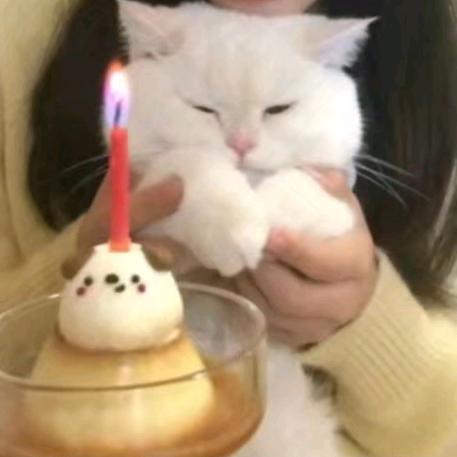 老公与纯情蟑螂蹦擦擦被我发现并加入