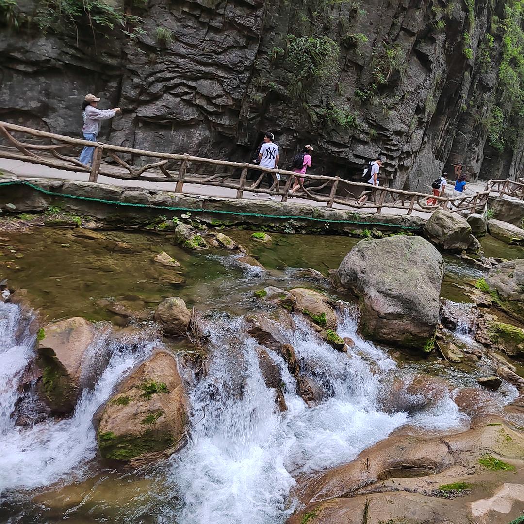 赵清丽