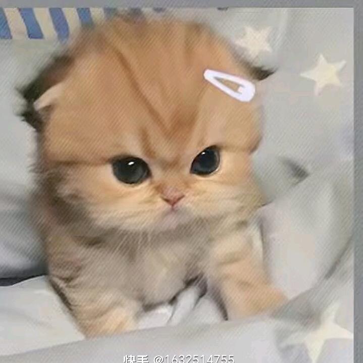 十分幸福