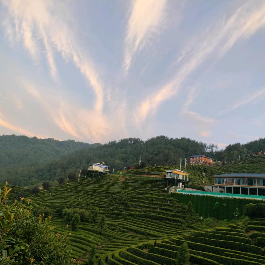 杨万全