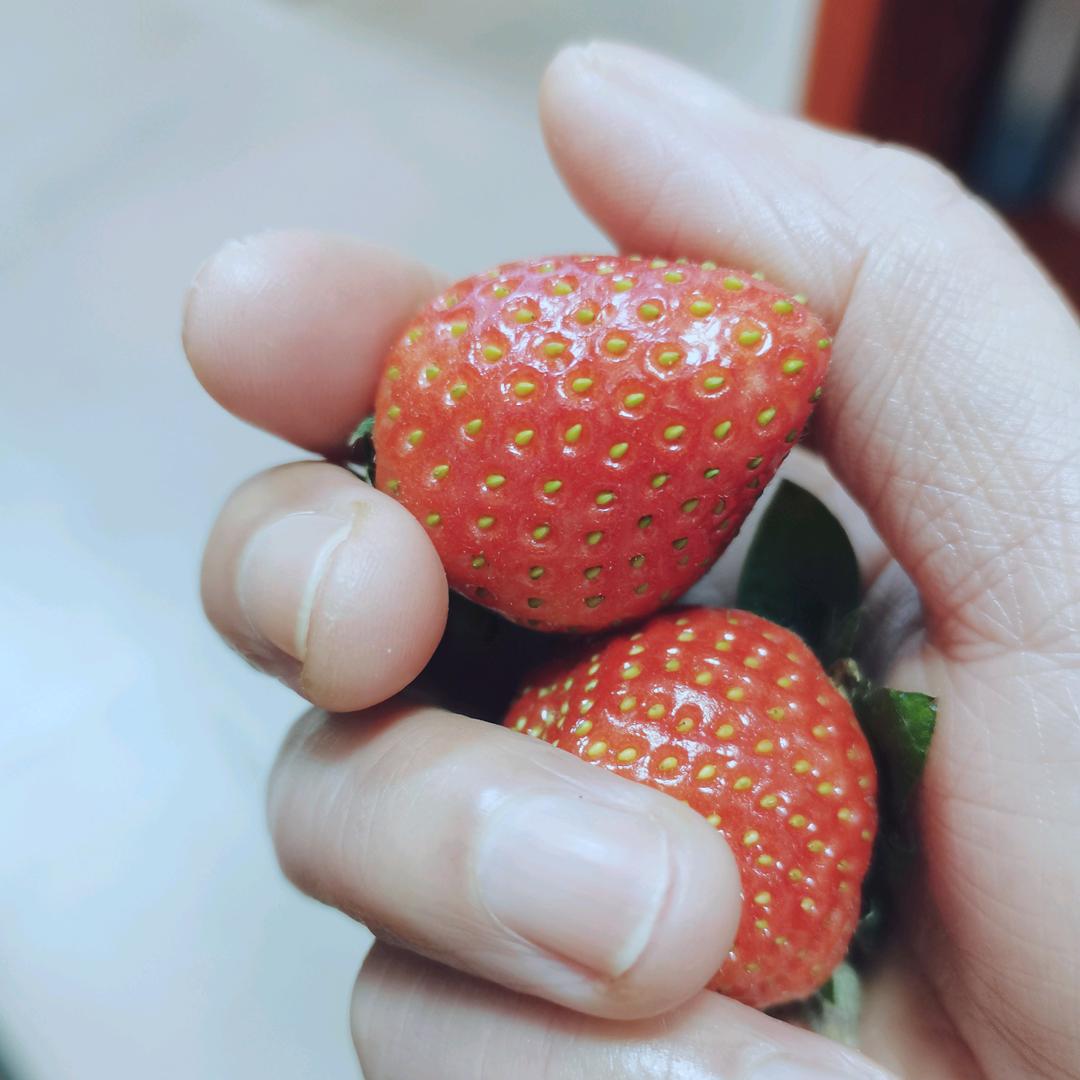 小青豆