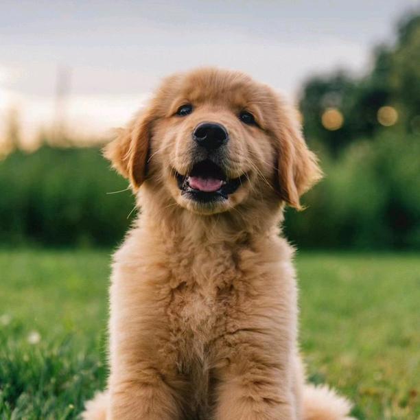 小榆书馆🇨🇳