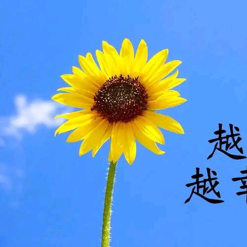璇子《爱跑步》