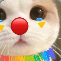 ❤️🧡💛💚💙❤️💜