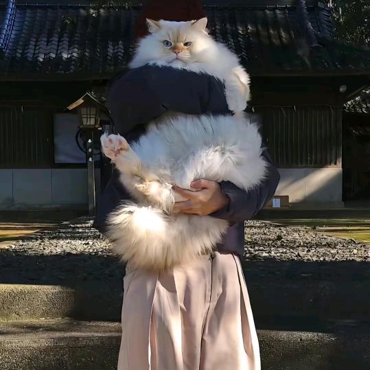蓝天自媒体