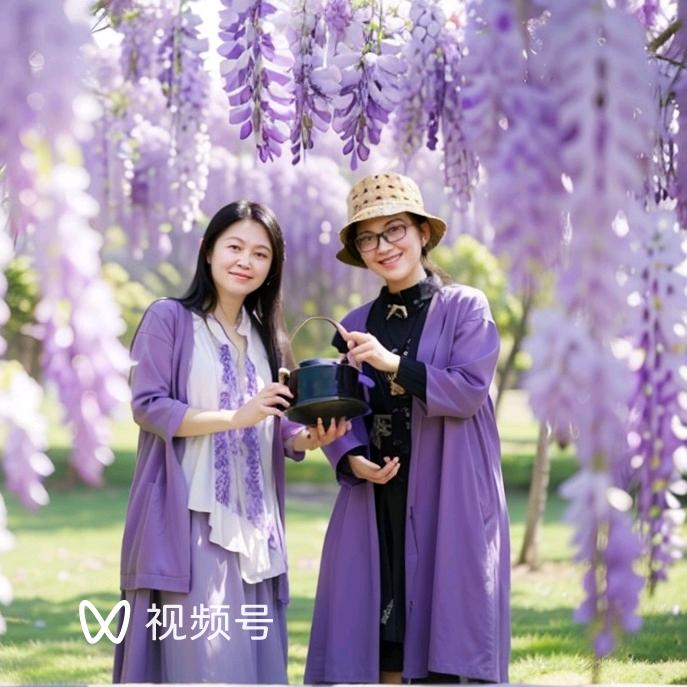 叶子（手机摄影）