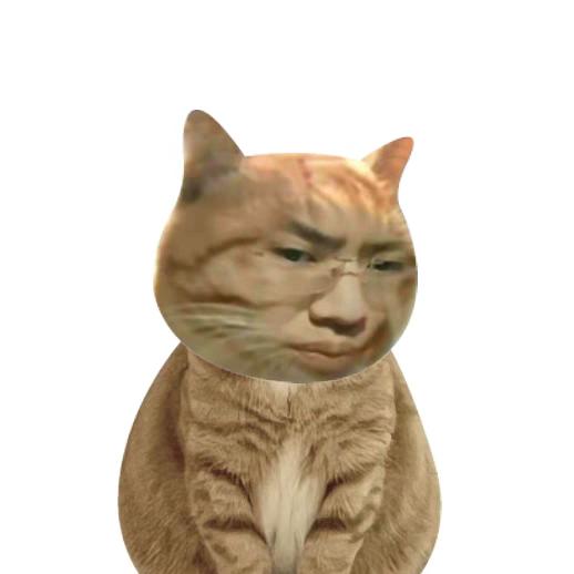 老六