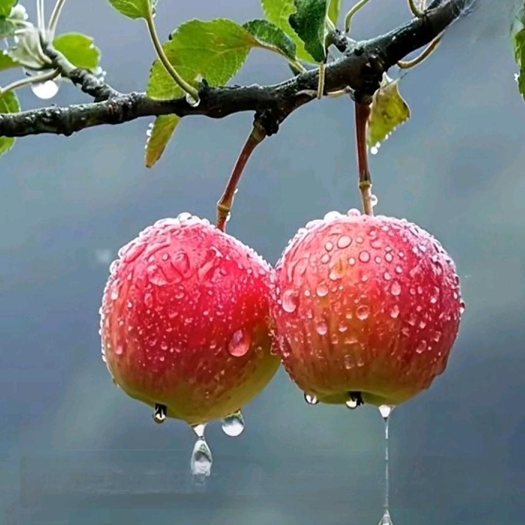 💞娟 💕