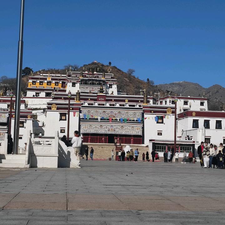 一心向阳