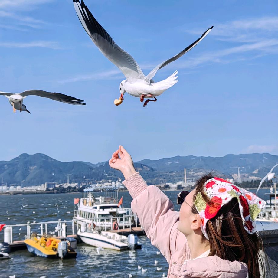 夏葵