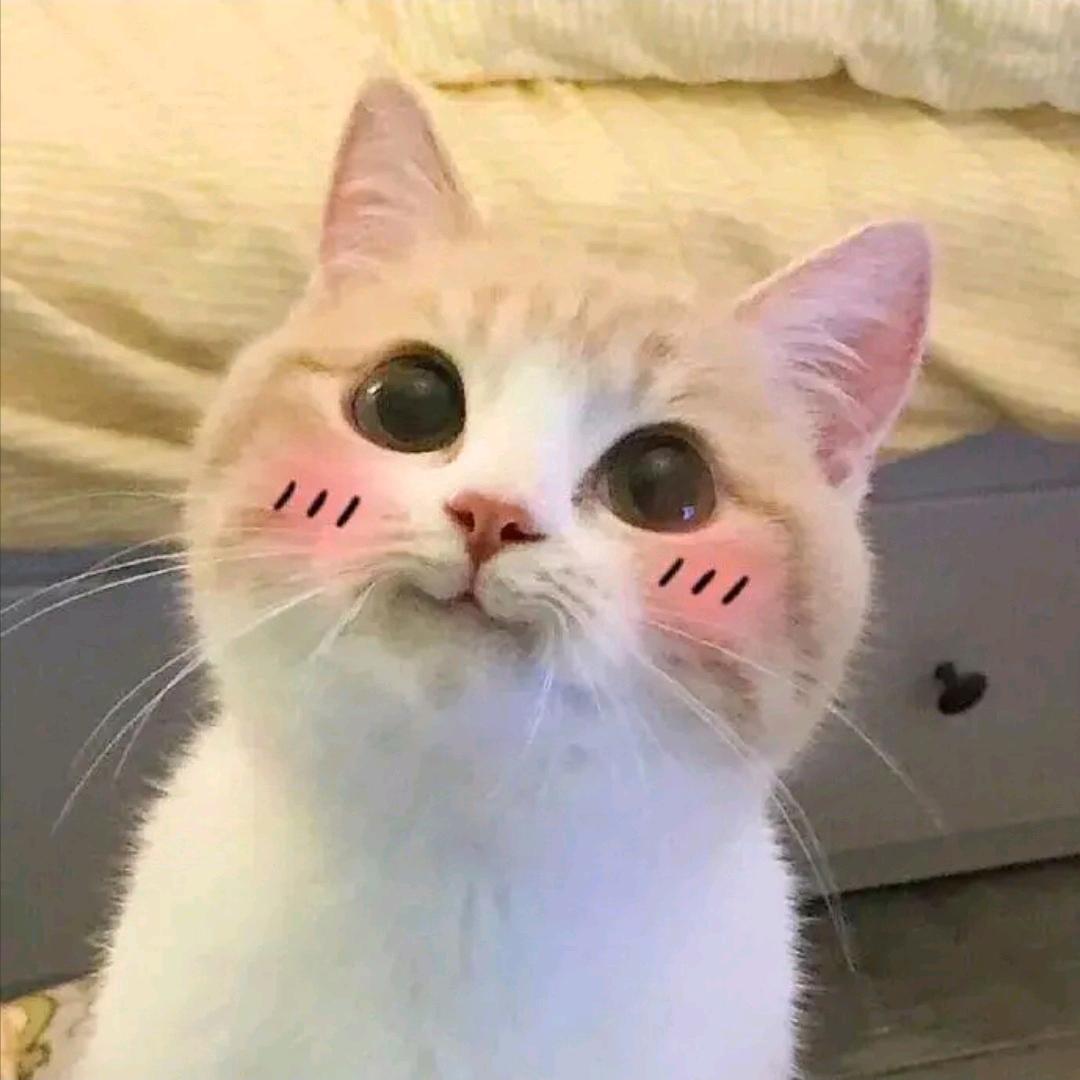 沐沐有剧