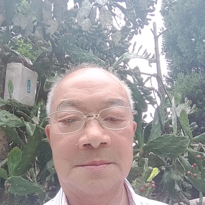 曾庆成