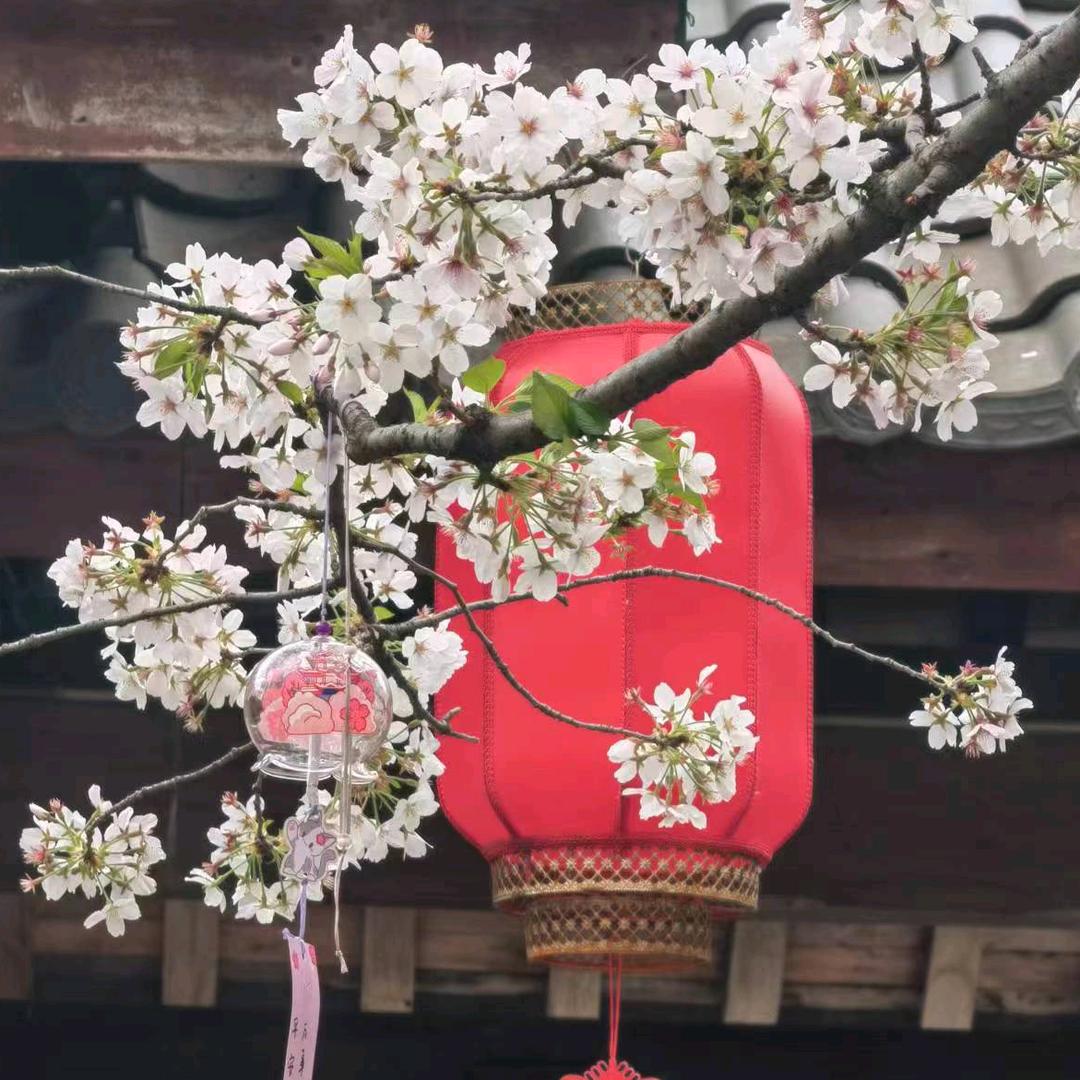 安然一生