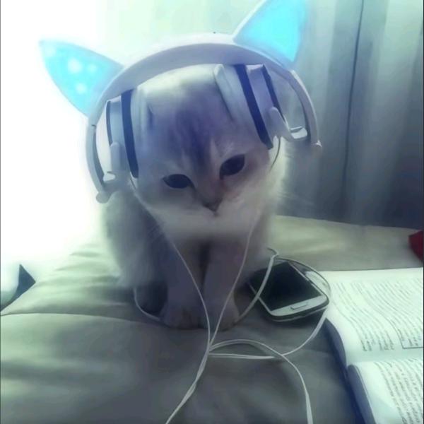 糕糕_
