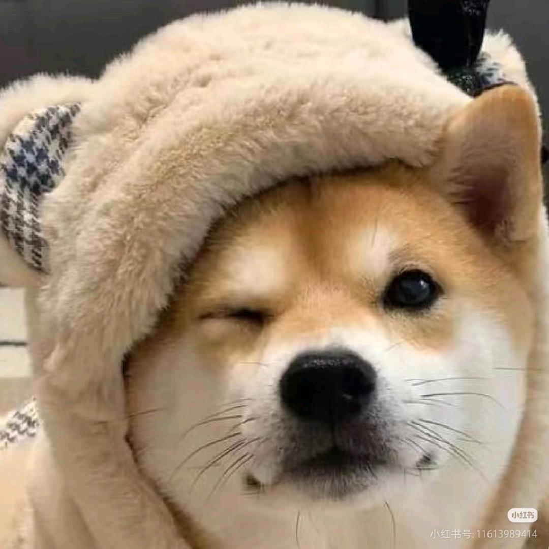 桑桑(王小贱剪辑团)