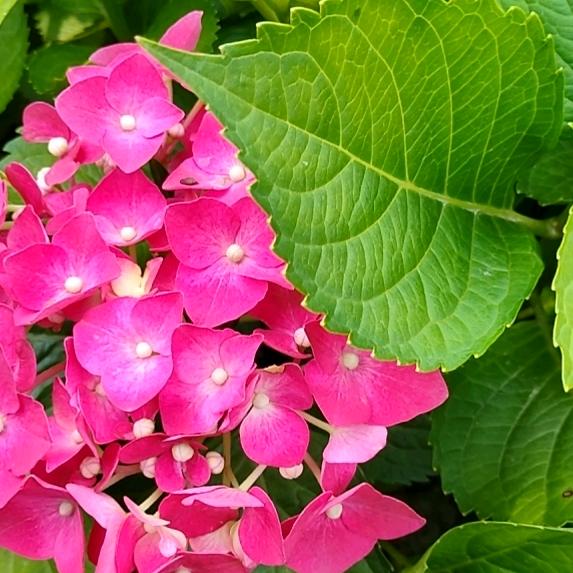 用户573707948684知足常乐