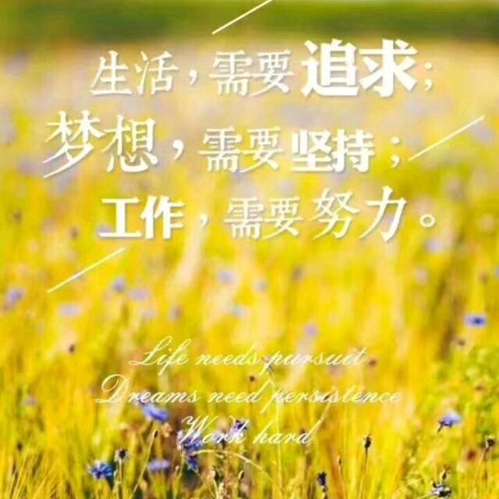 小丹8976