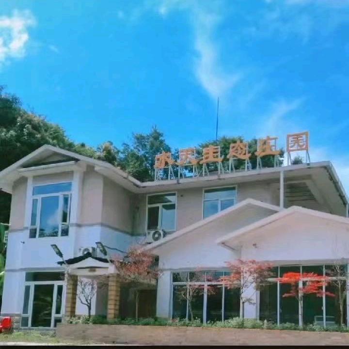 zheng.林