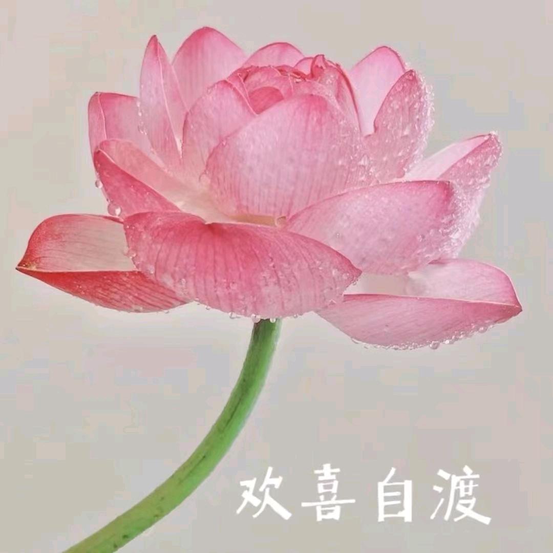 雪儿(专业洗大小车🚗]