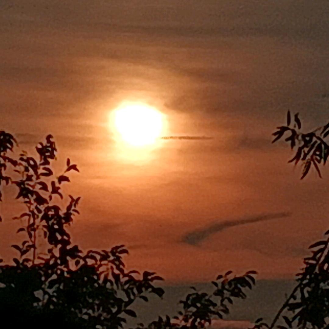 🍀庆幸遇见KYX💛