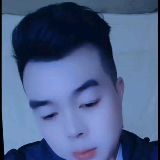情为何物