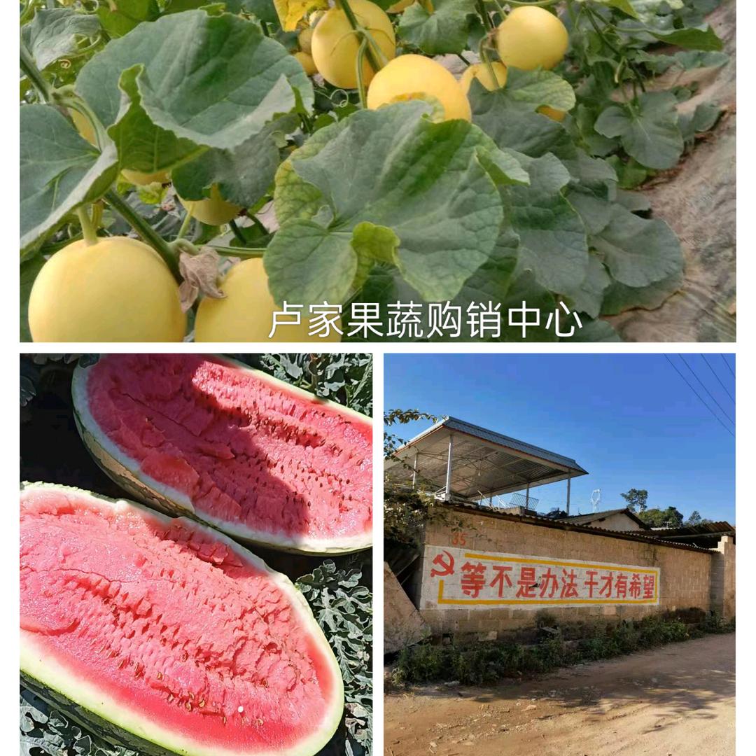 盧家小伟果蔬购销中心