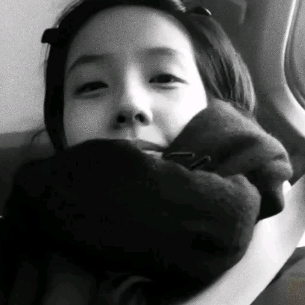 春来时相逢