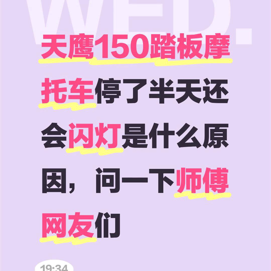 猪猪队