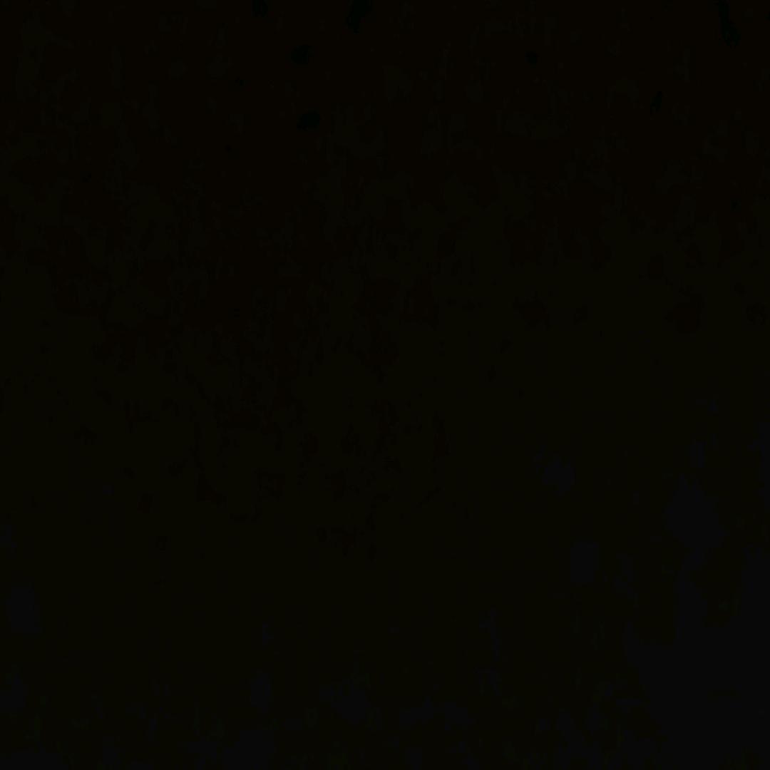 杜先生