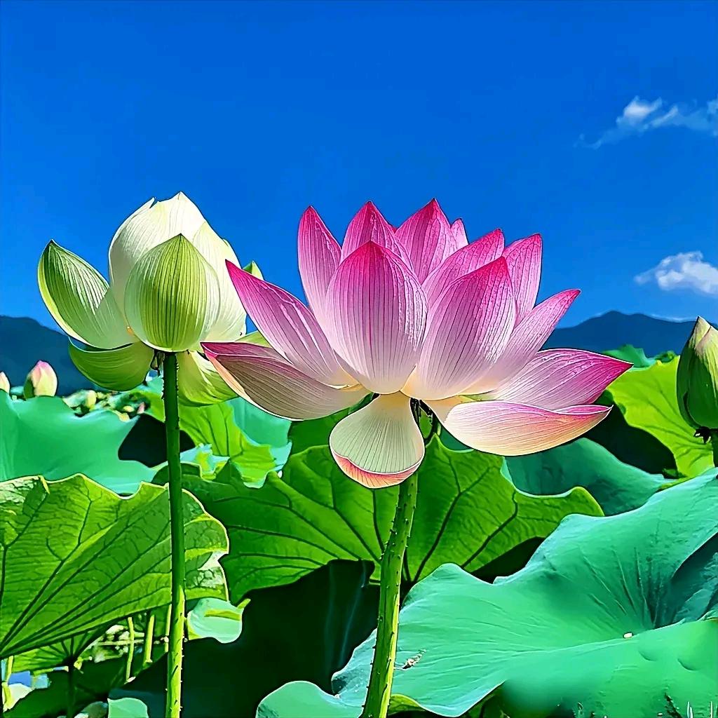 知足就幸福
