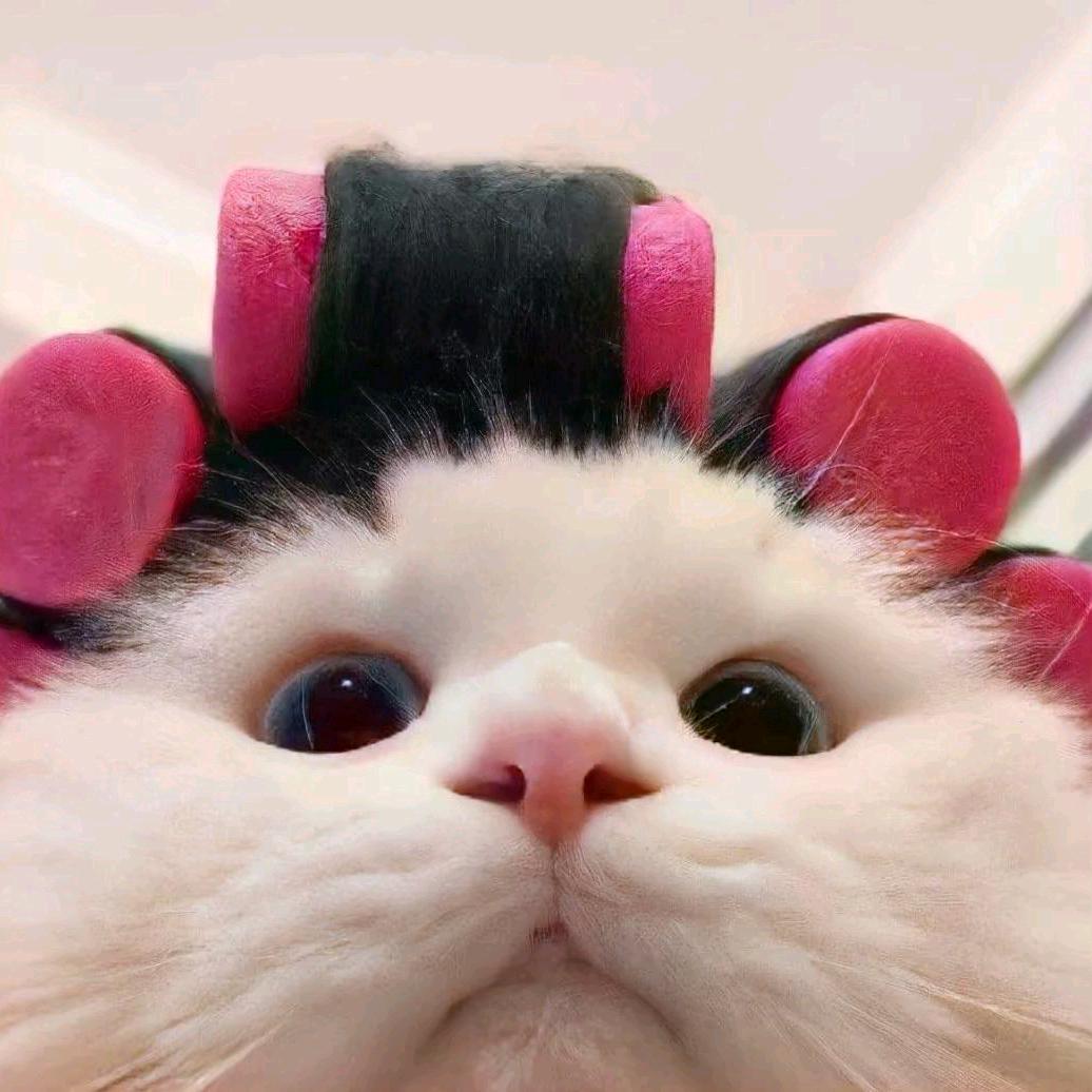 𝙝𝙚𝙡𝙡𝙤𝙤𝙤𝙤