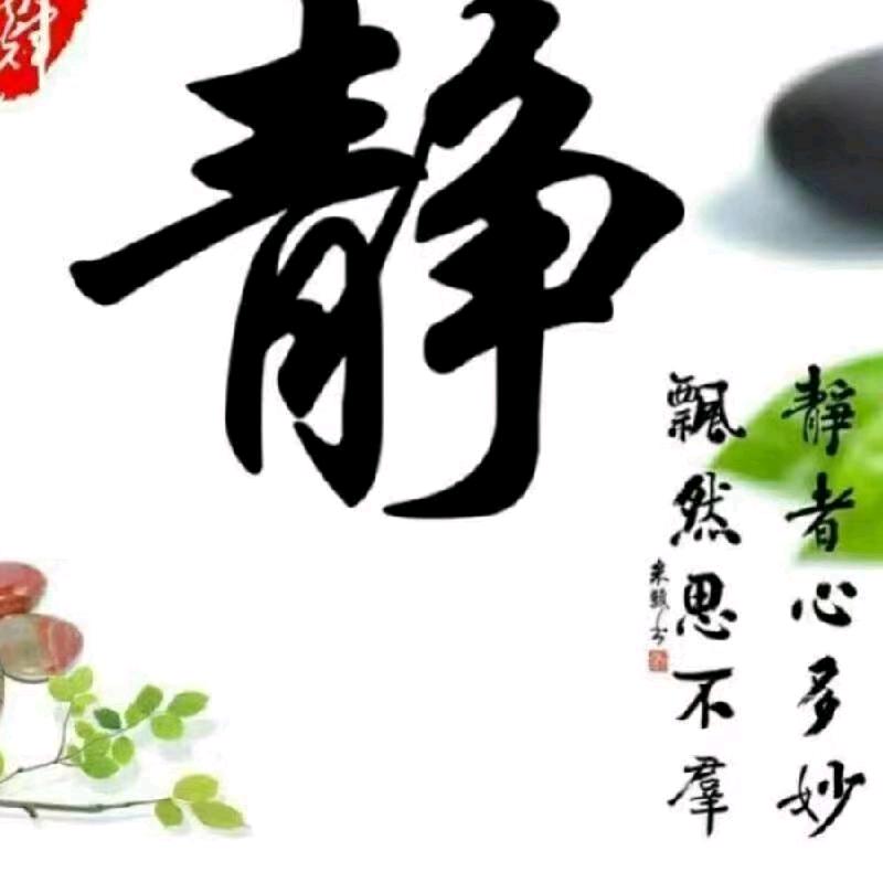 林玲情缘