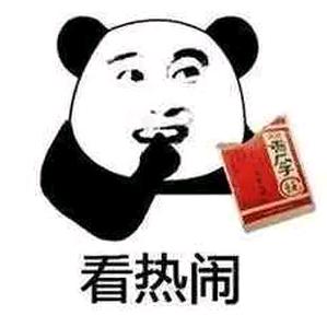 幻境破解师叶青圆头像