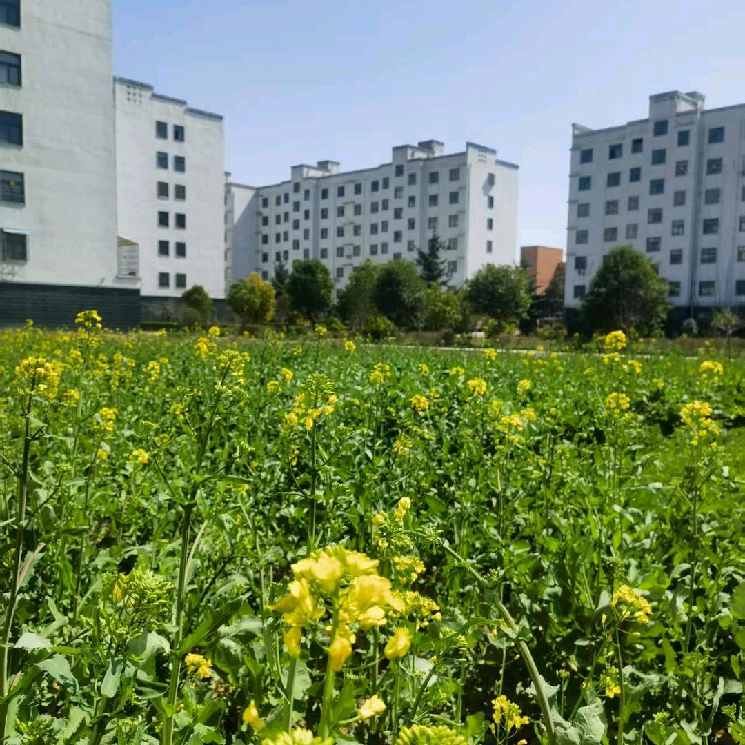 氾源小区售楼部