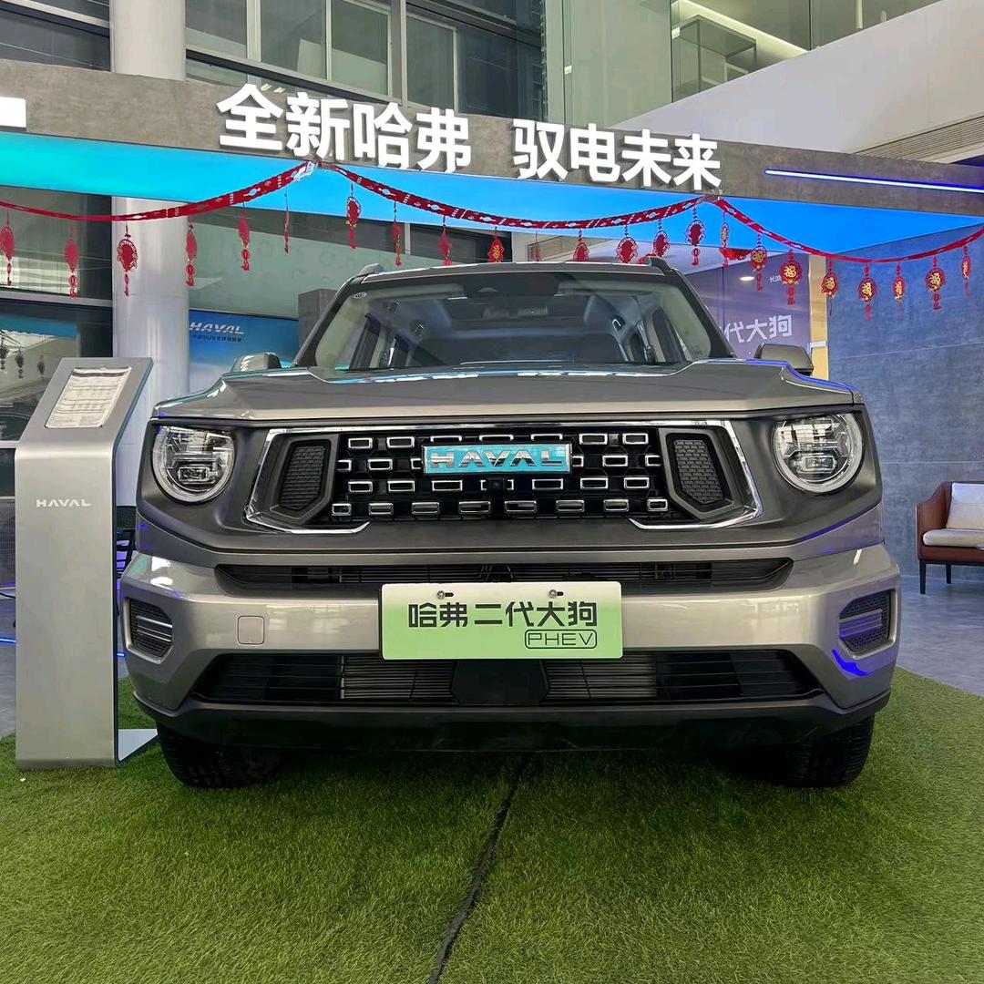 衡水轩龙哈弗张艳