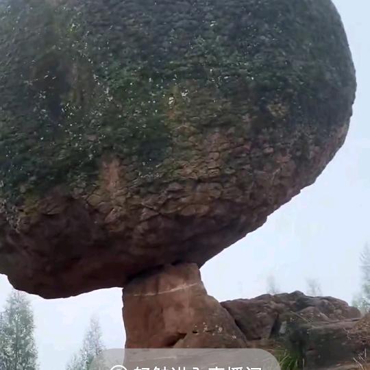 自然生存