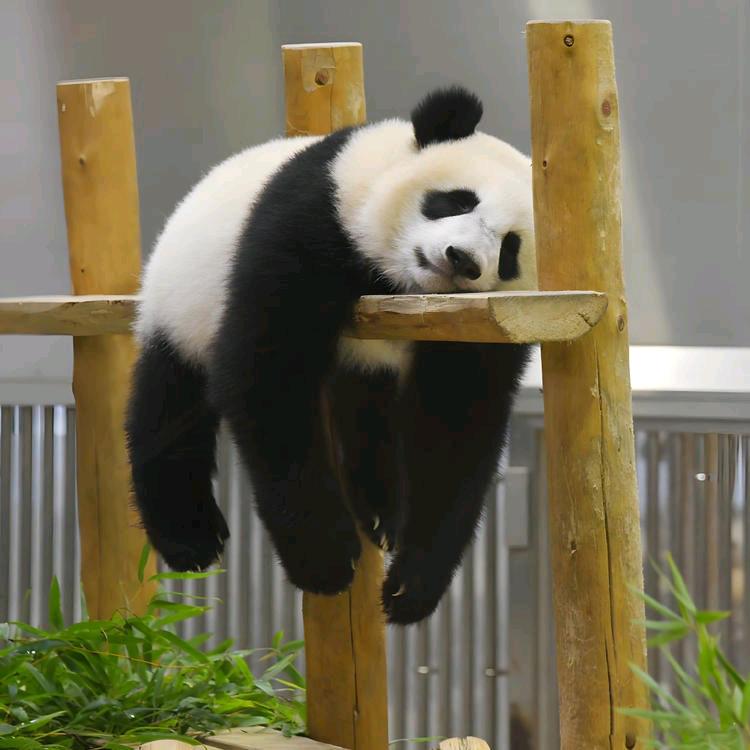 @happy☽❤️ᴶᵀ