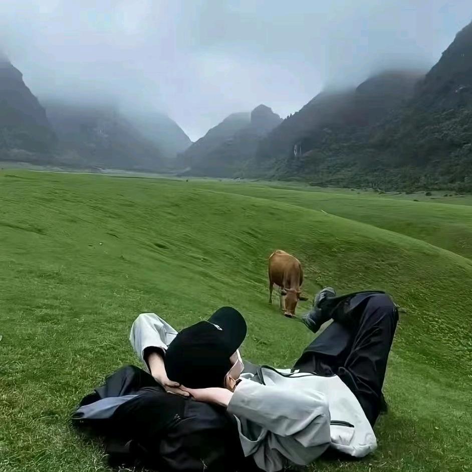 晨森