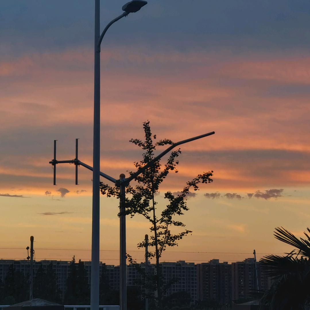 上海户籍业务咨询